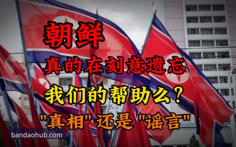 揭秘半岛官方app安装背后的真相：新手最常踩的5个坑